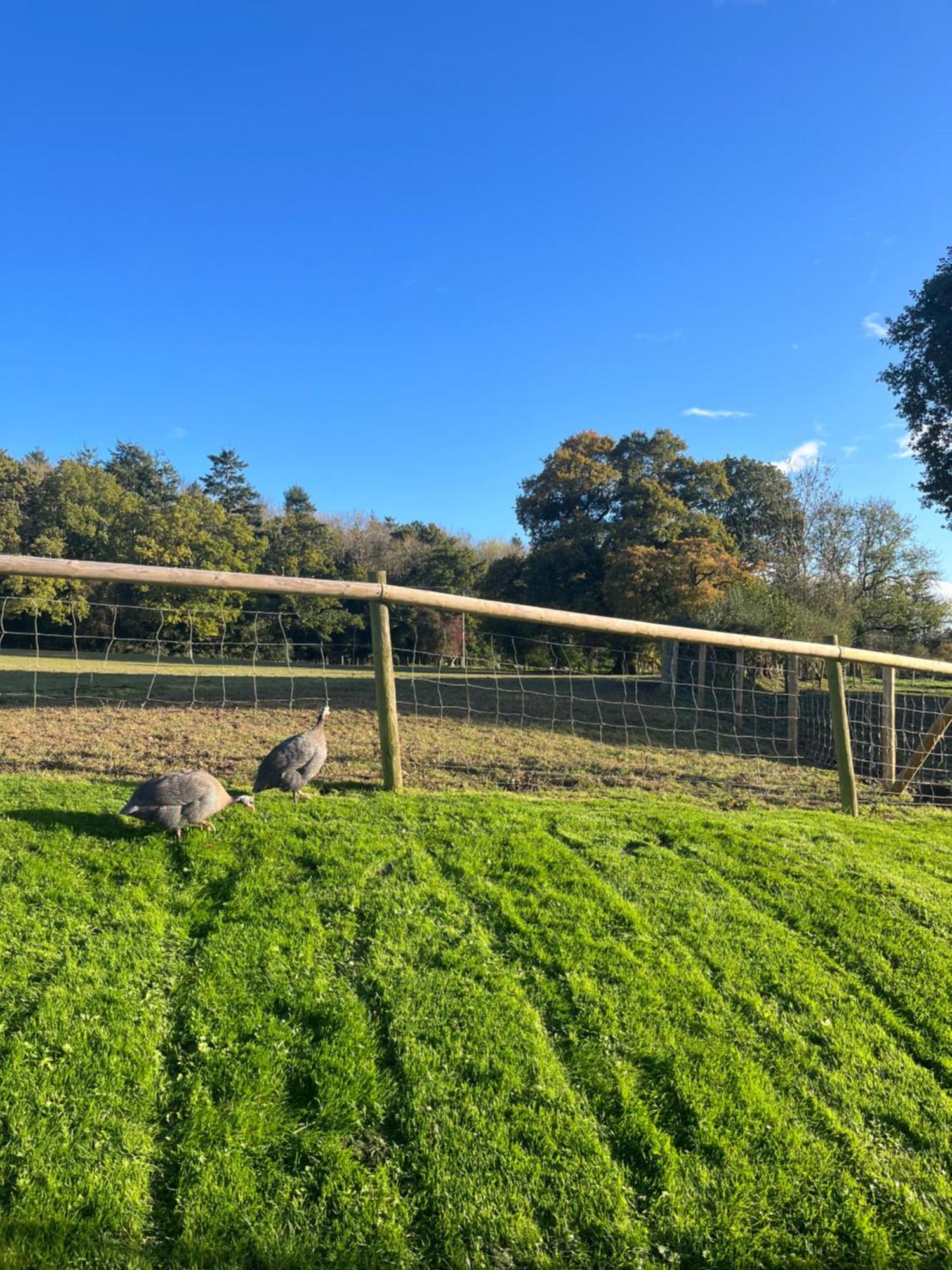 The Old Bull Pen Βίλα Abergavenny Εξωτερικό φωτογραφία